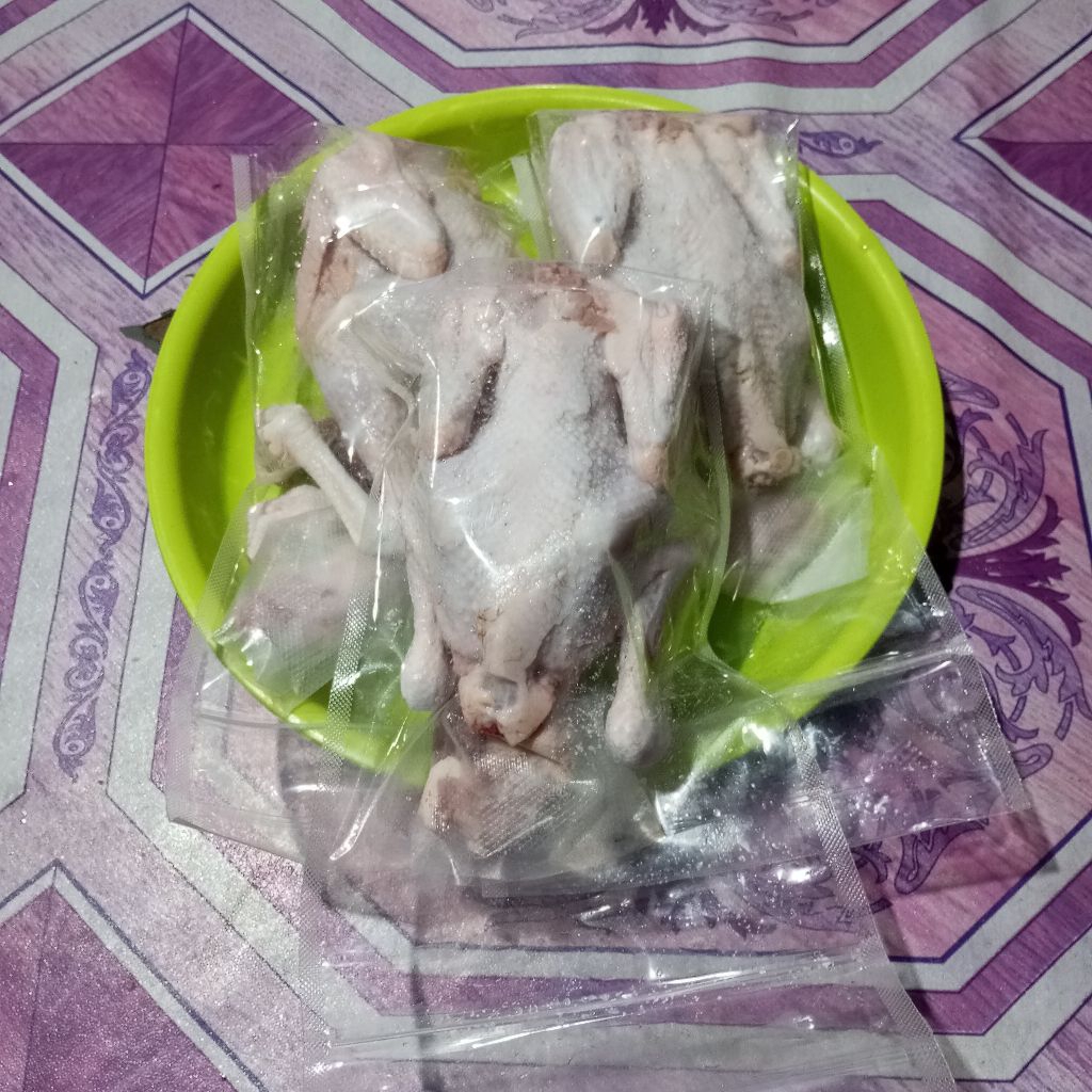 

ayam kampung karkas bobot hidup 1,2 kg