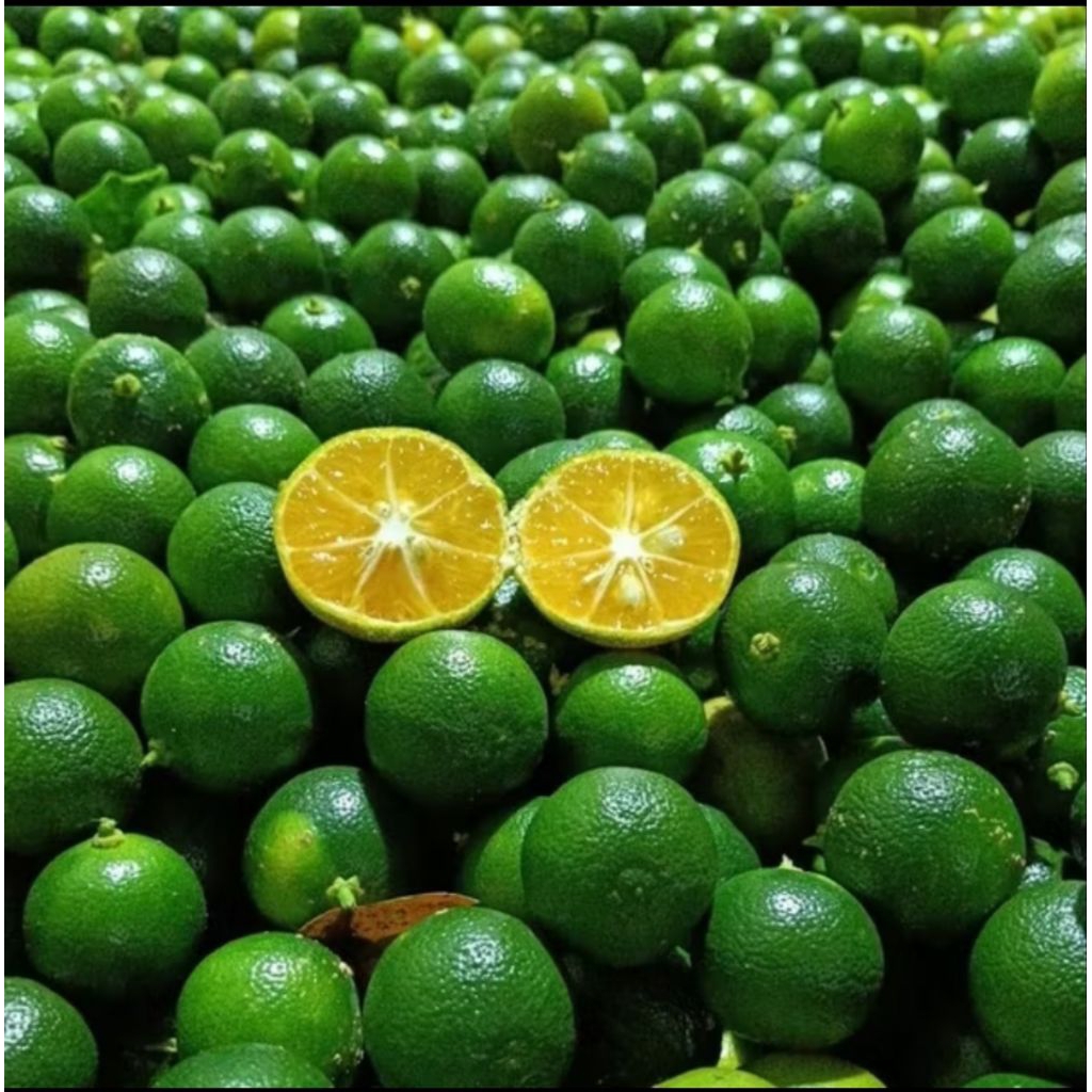 

Jeruk peras segar 500g/1kg