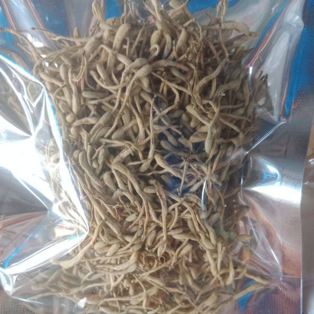 

kim gin hua/ jin yin hua 10 gram