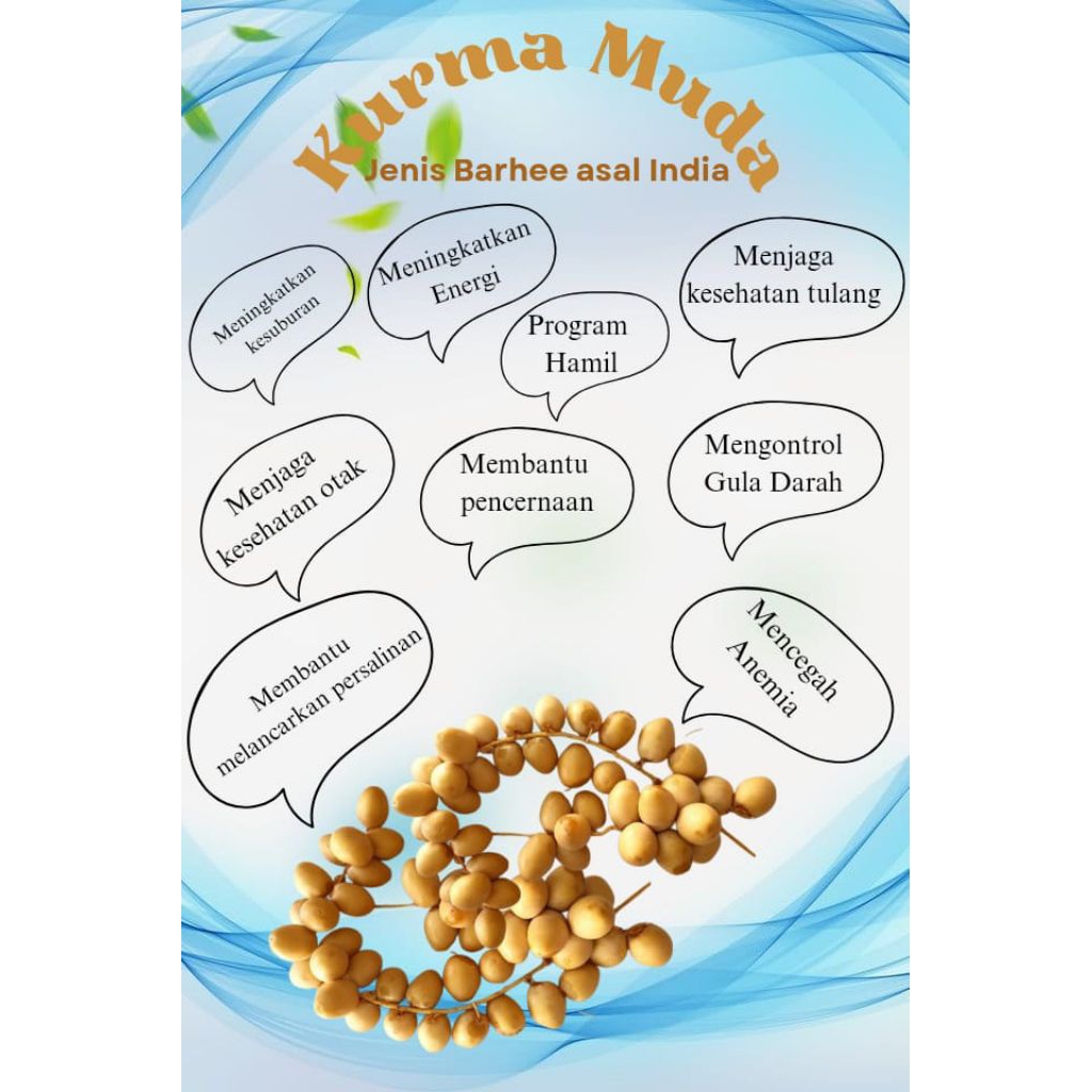 

Kurma Muda Barhee India Dzulhijjah 1446 H