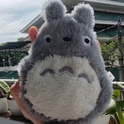 KODE B94S Dompet Totoro Pouch Purse Defect