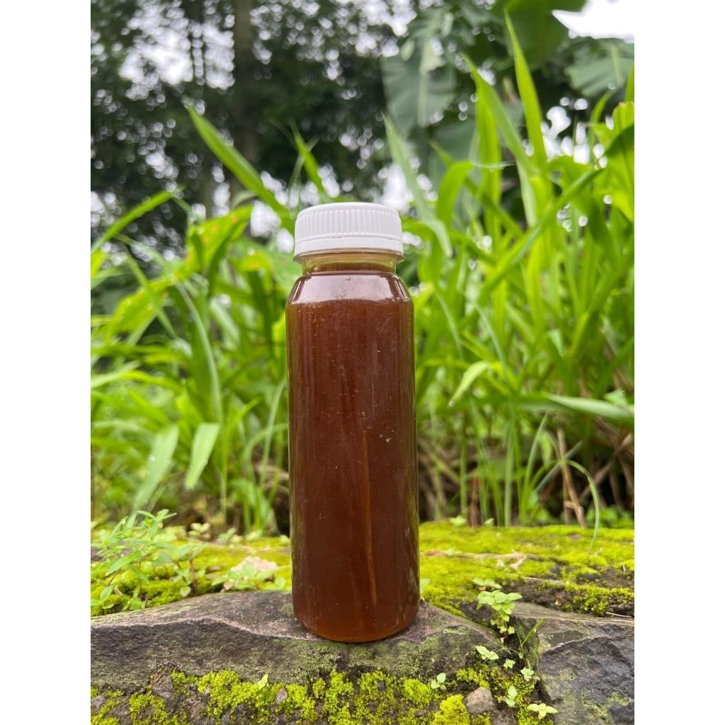 

madu cerana asli liar kemasan 1kg