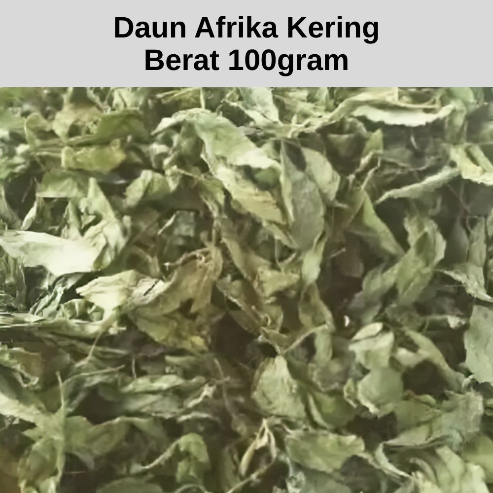 

Daun Afrika Kering 100gr Herbal Asli