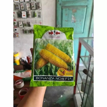 

HOT(SALE) - Benih jagung manis BONANZA NOW F1 ORIGINAL isi 1800 Biji EXP 2026 KEMASAN PABRIK