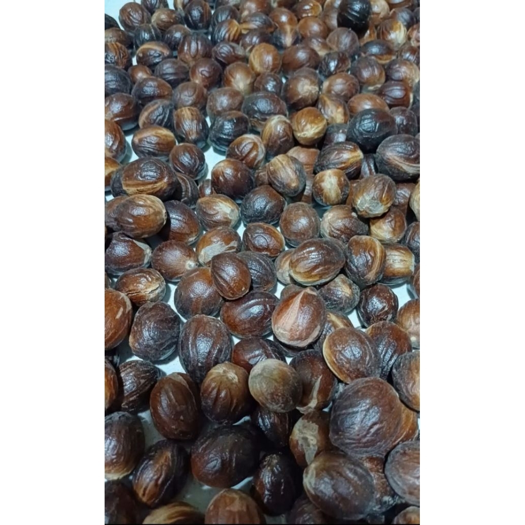 

biji pala kering,pala kilat /pala cangkang kering