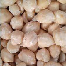 

KEMIRI UTUH 1 KG BEST SELLER