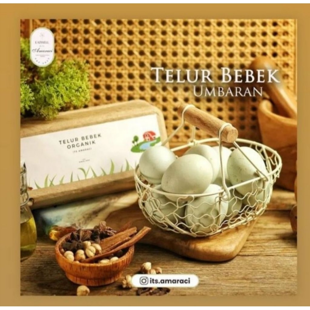 

Telur Bebek Organik