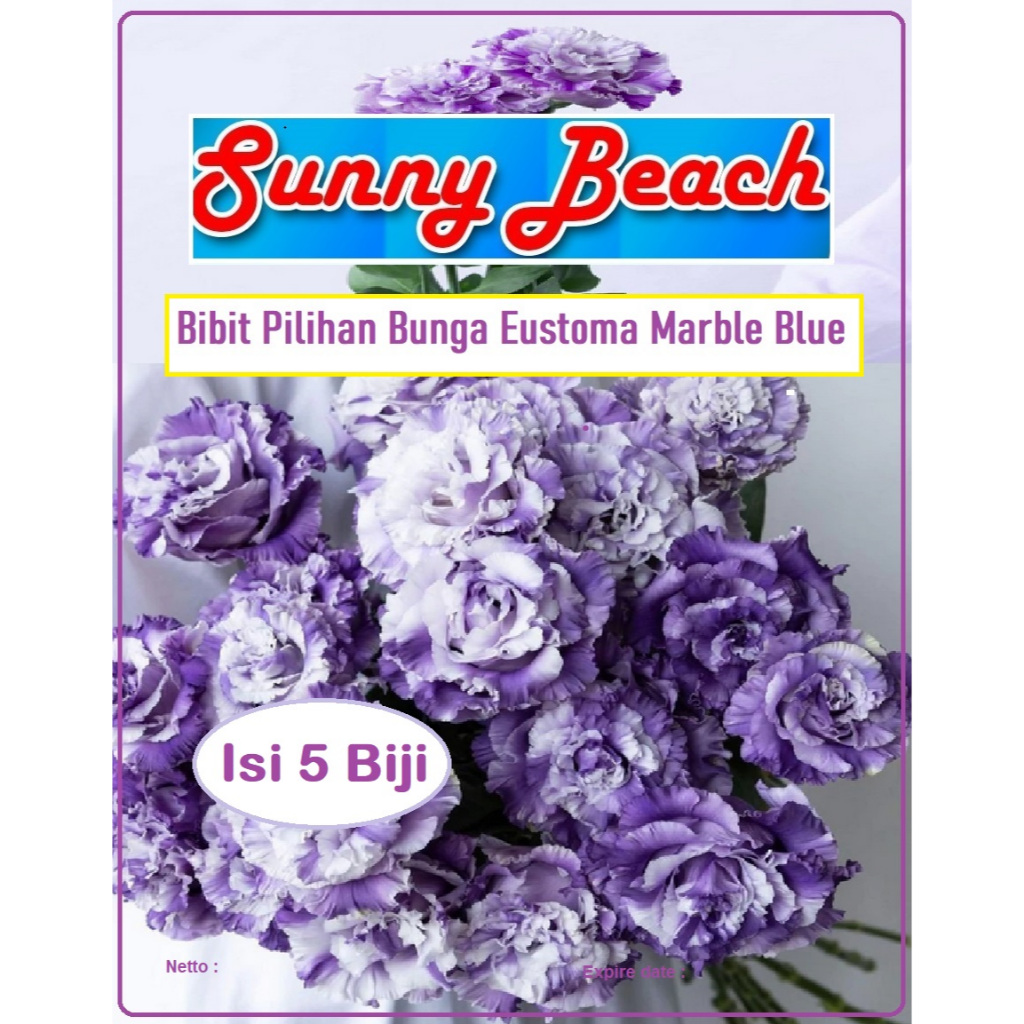 Bibit Pilihan Bunga Eustoma Marble Blue | Biji Benih Bunga Eustoma Marble Blue