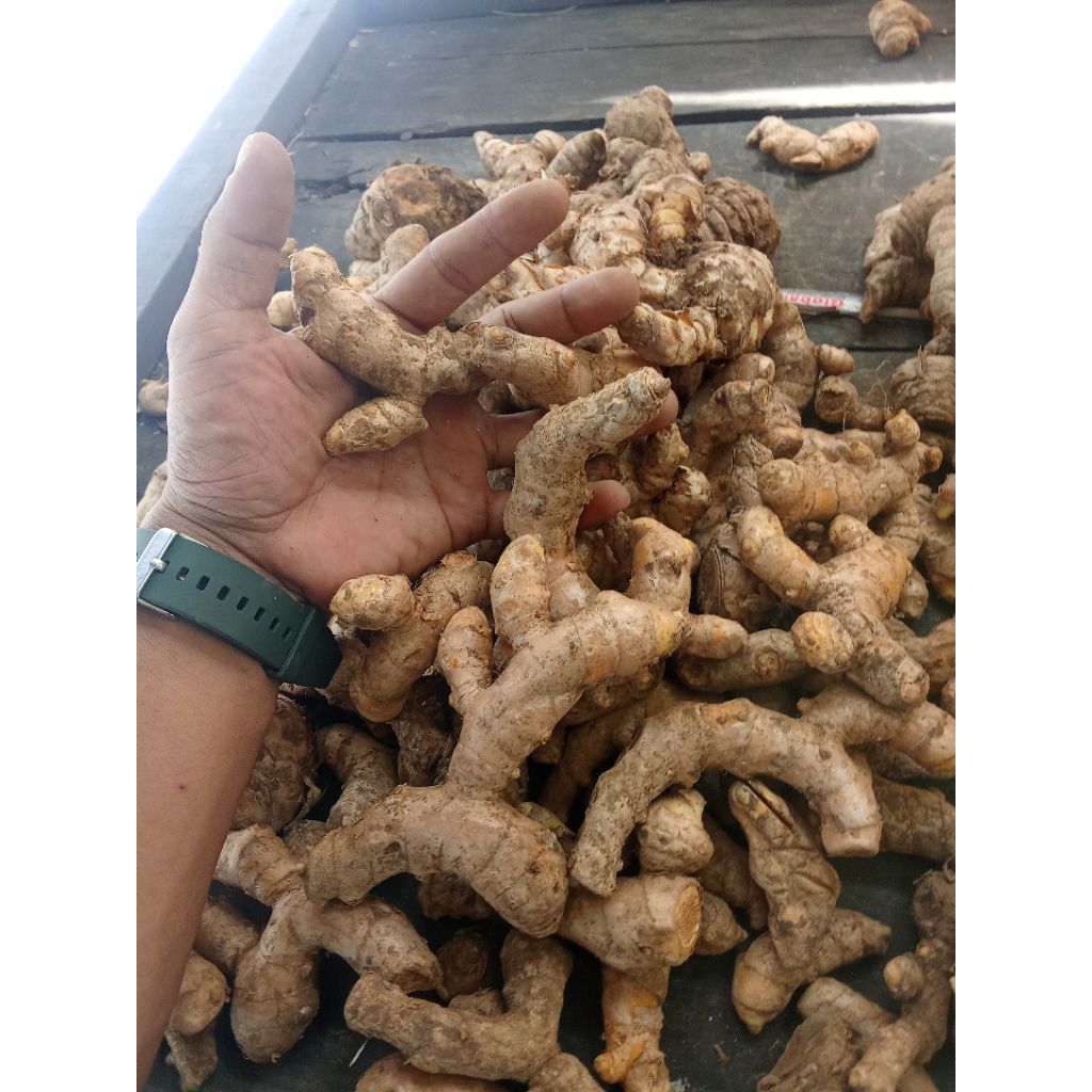 

TEMU LAWAK CANTIK FREES BANYAK MANFAAT BUAT KESEHATAN PER 500G