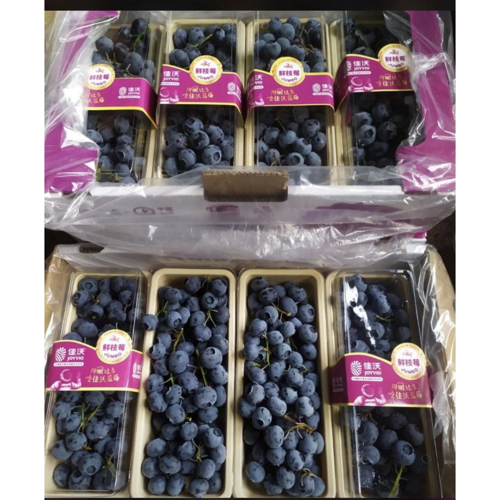 

Buah Blueberry Tangkai Import / Buah Blueberry Fresh / Pack