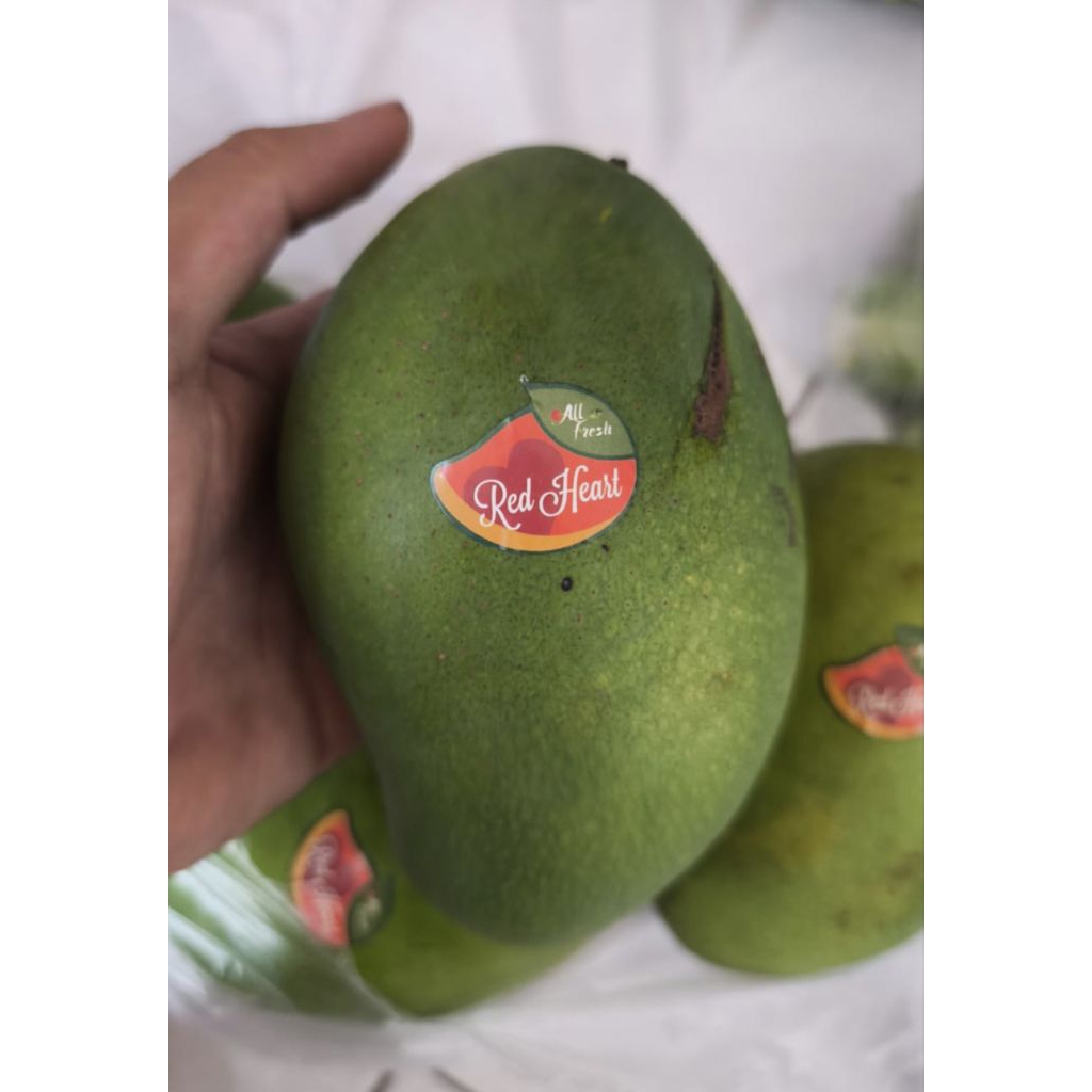 

Mangga Harumanis Heart Bangil Masak Pohon / Mangga Suluhan / 1 Kg Buah