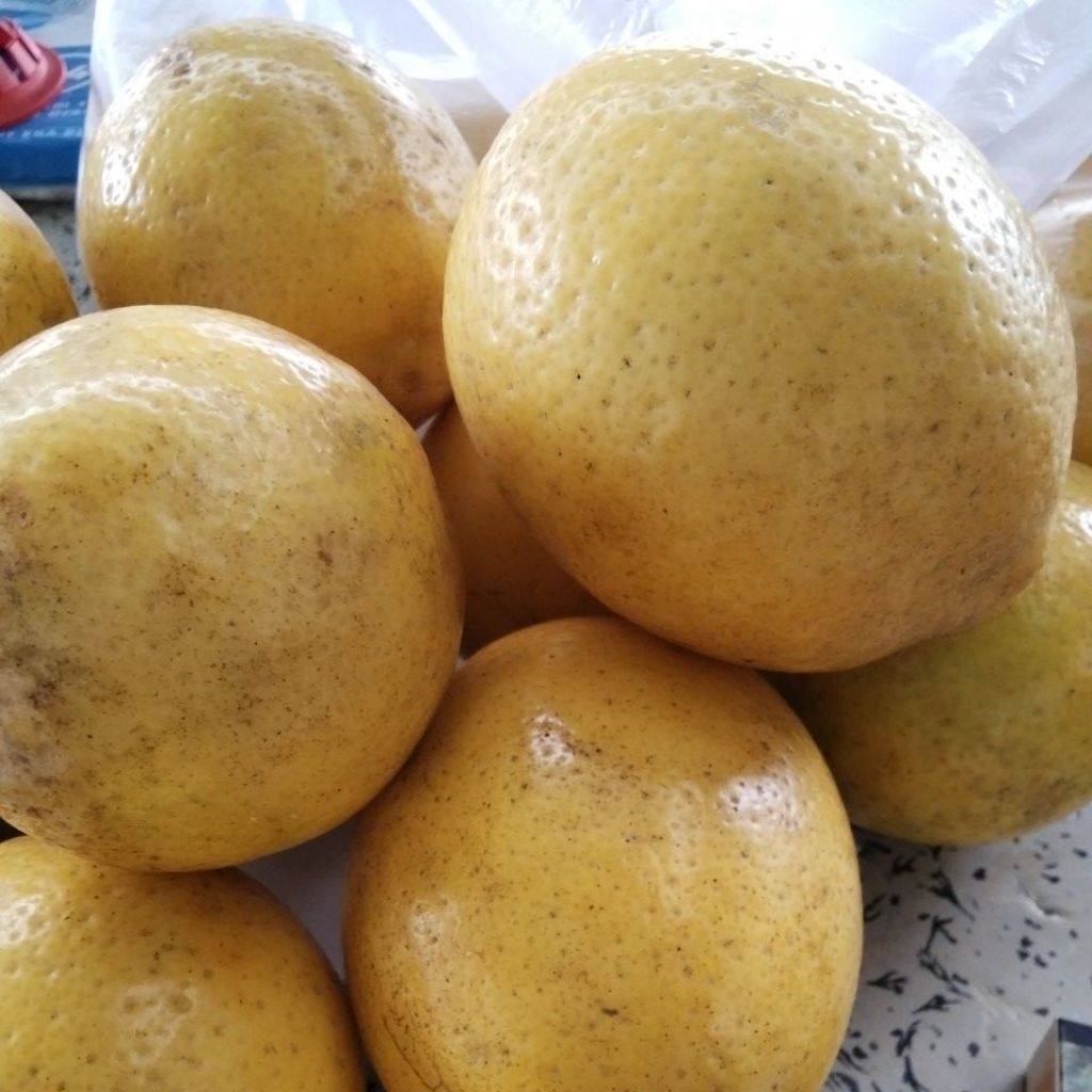 

Jeruk Lemon California 1 KG