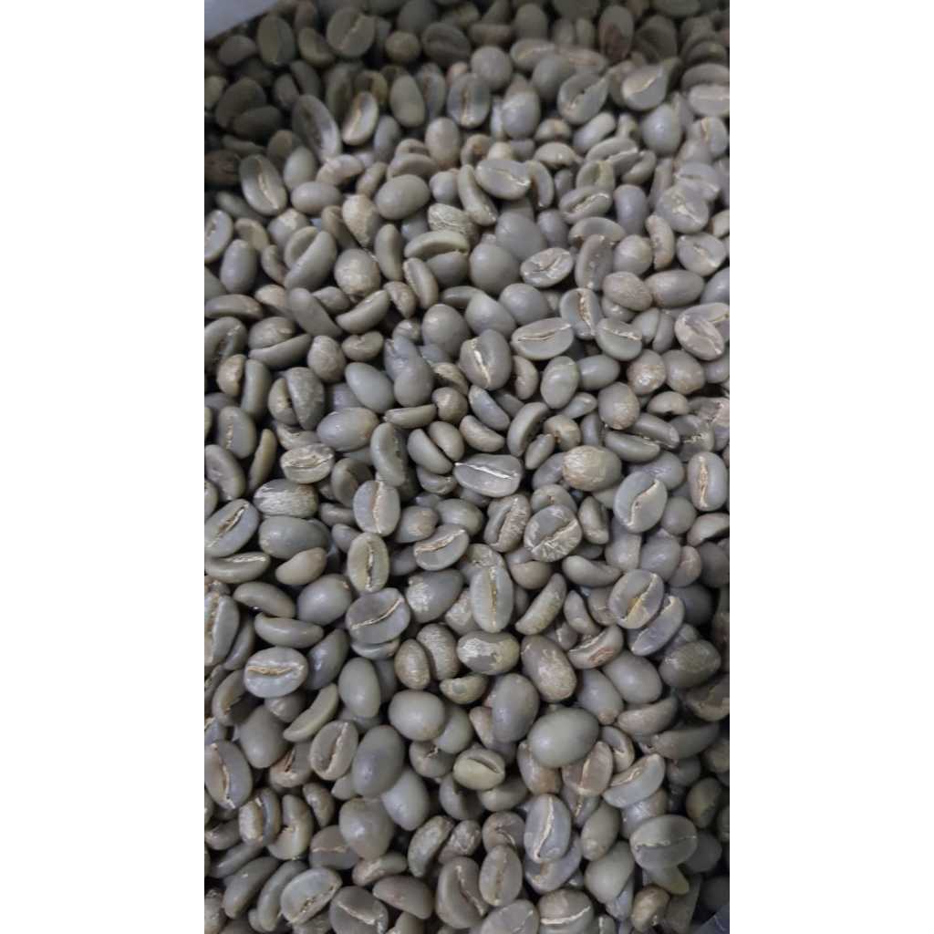 

BIJI KOPI/GREEN BEAN ARABIKA GARUT BARUKO JAWA BARAT - FULLWASH - SINGLE ORIGIN