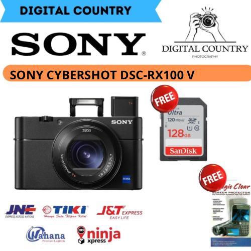 SONY CYBERSHOT DSC-RX100 V / SONY CYBERSHOT DSC-RX100 MARK V / SONY DSC-RX100 V