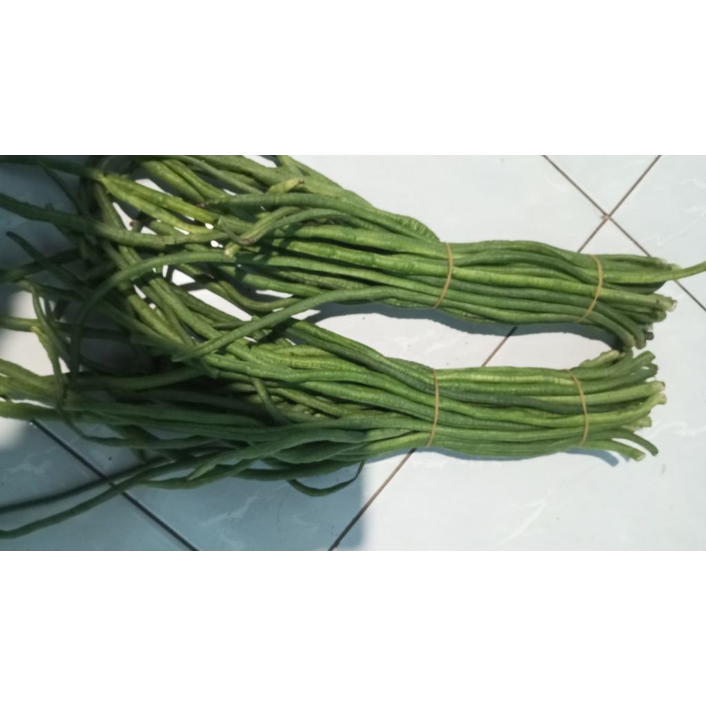 

kacang panjang 1 ikat