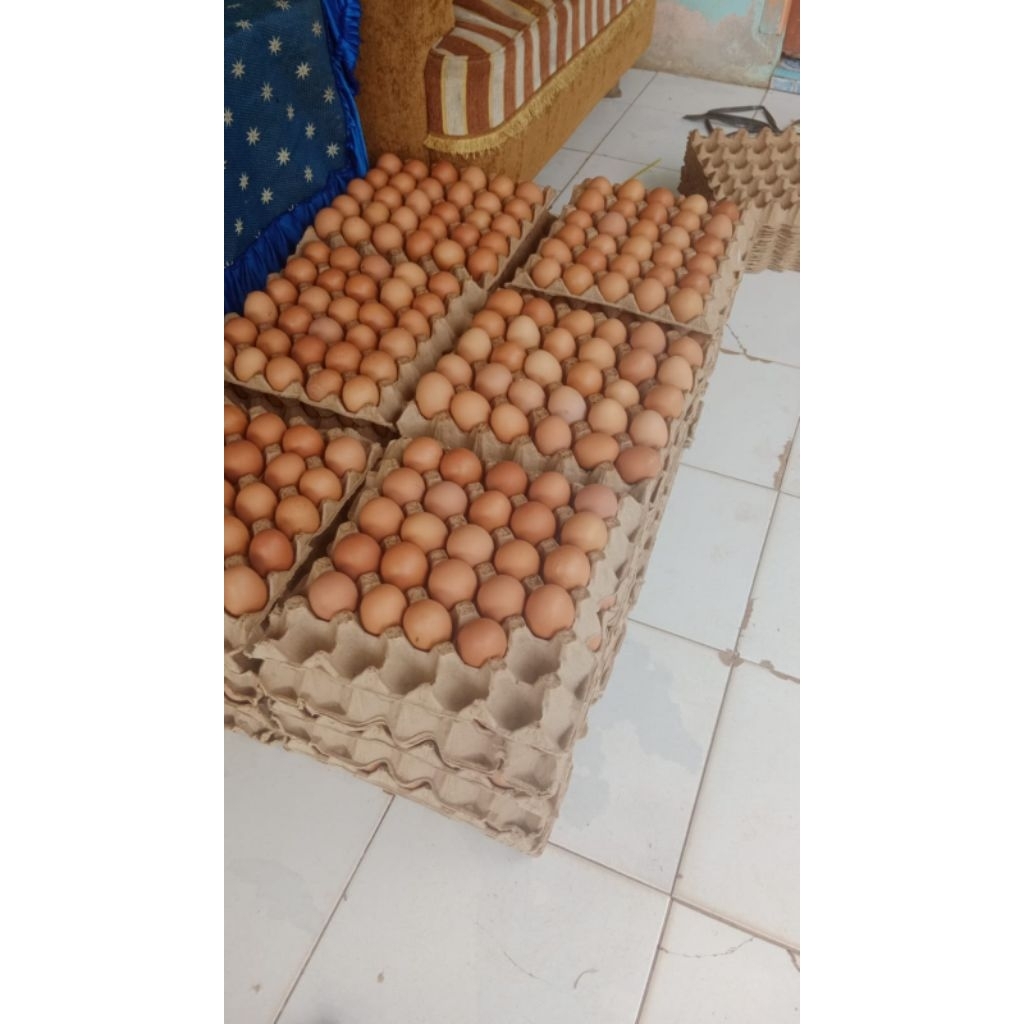 

Per 30 butir telur