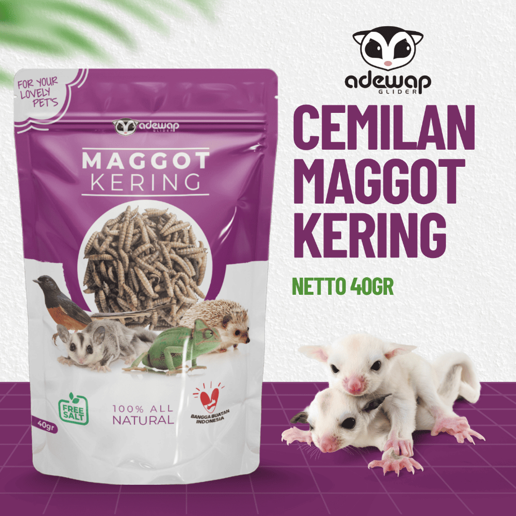 ADEWAP GLIDER Maggot Kering Camilan Serangga Sugar Glider