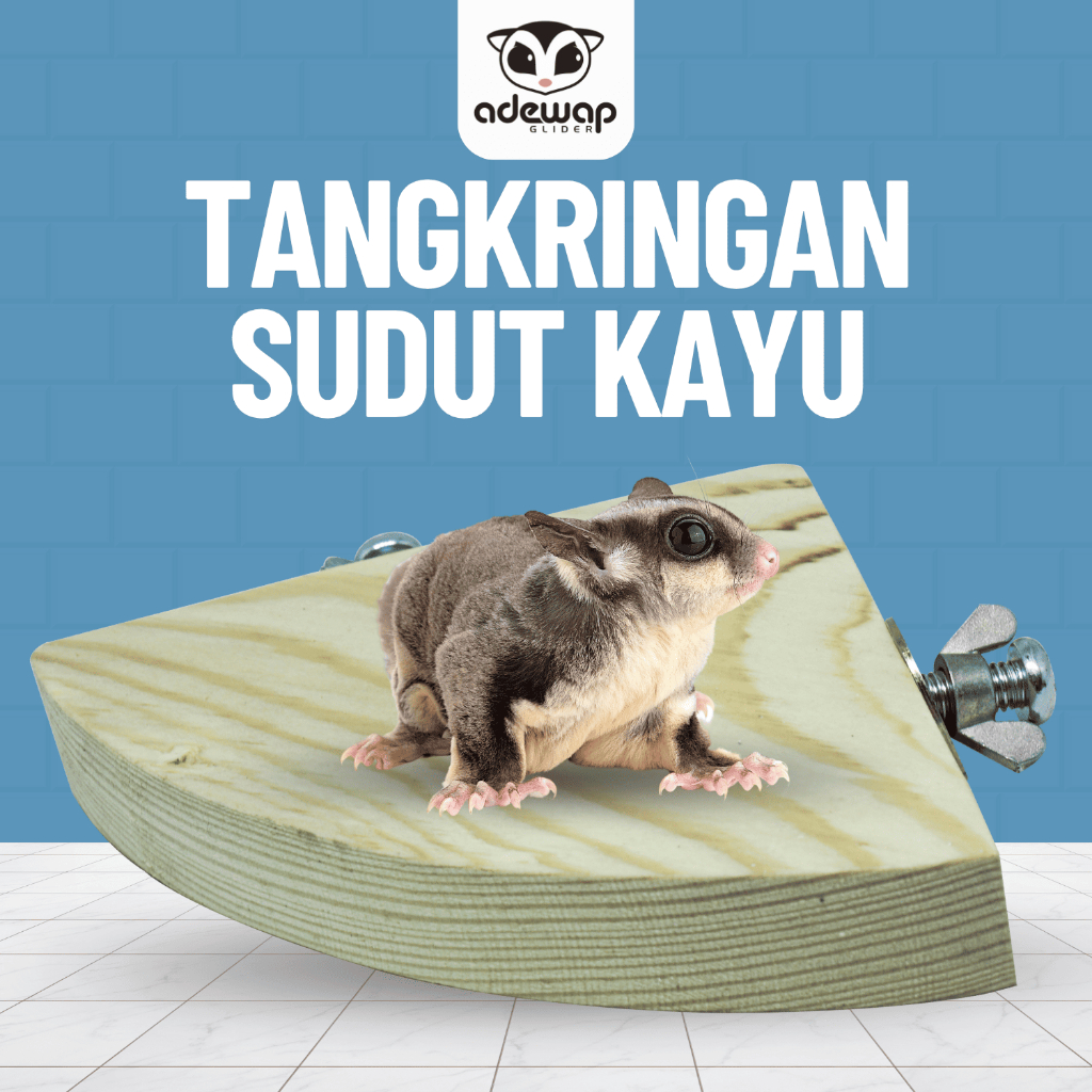 ADEWAP GLIDER Tangkringan Standing Sudut Kandang Sugar Glider