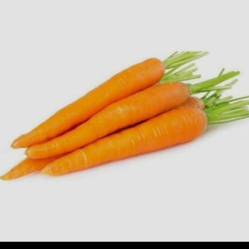 

Wortel Lokal Fresh - Wortel Segar Murah - Wortel Lokal Fresh Termurah