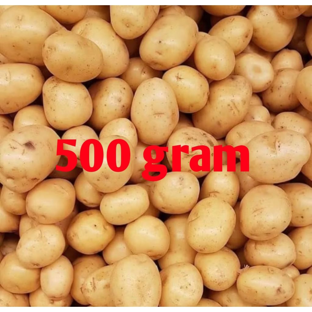 

kentang Dieng 500gr Wonosobo ukuran standar terbaik, cocok untuk sayur dan kripik