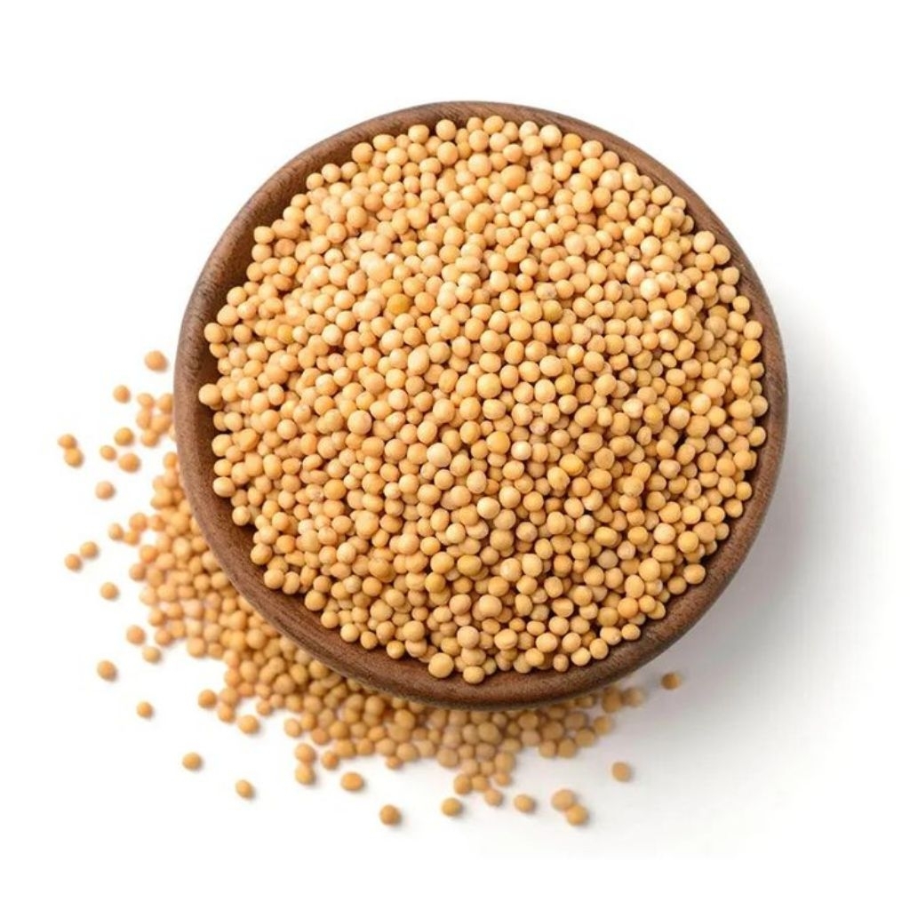 

Yellow Mustard Seed / Biji Sawi Kuning / Rai