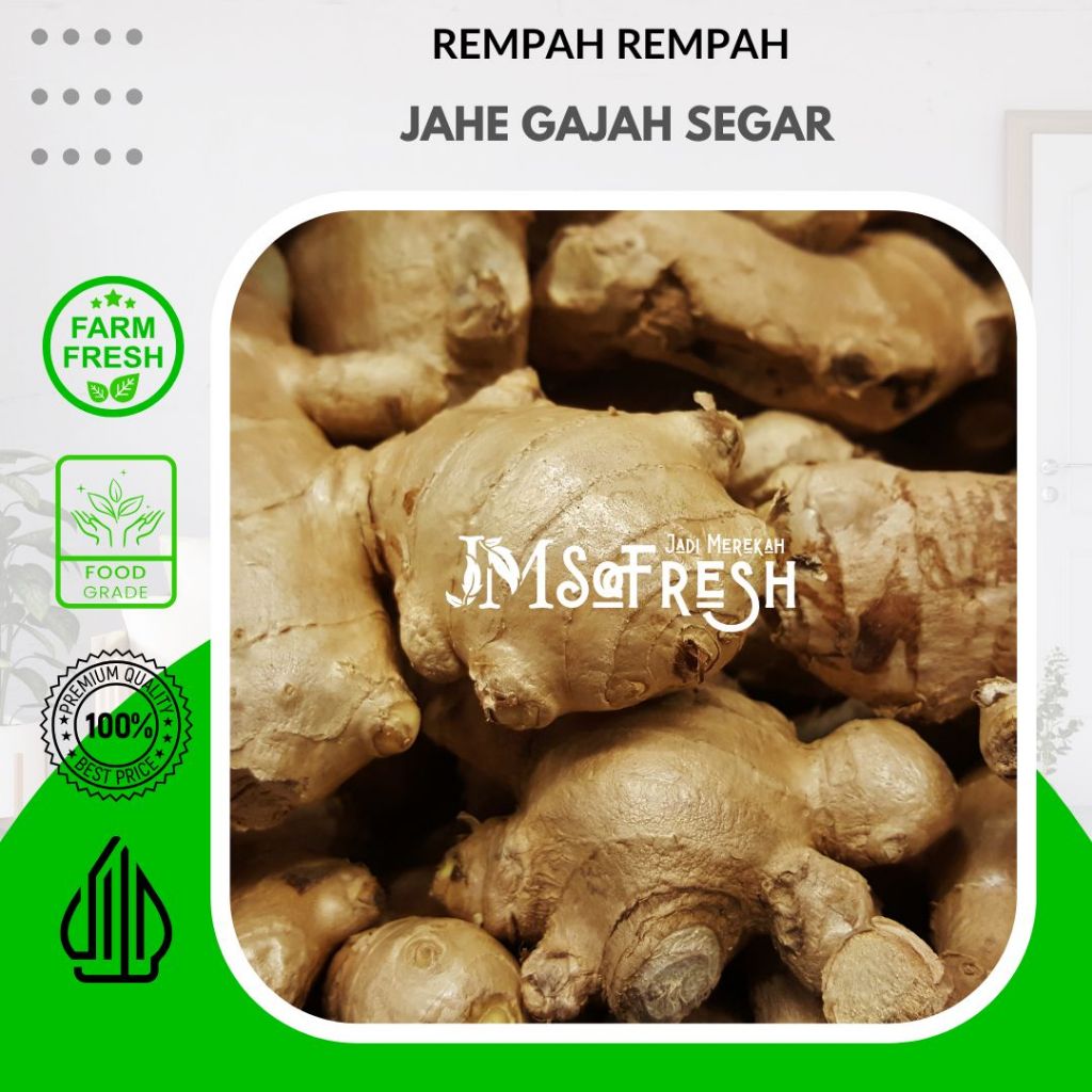 

[JM SoFresh] Jahe Gajah Segar Organik 500 Gram