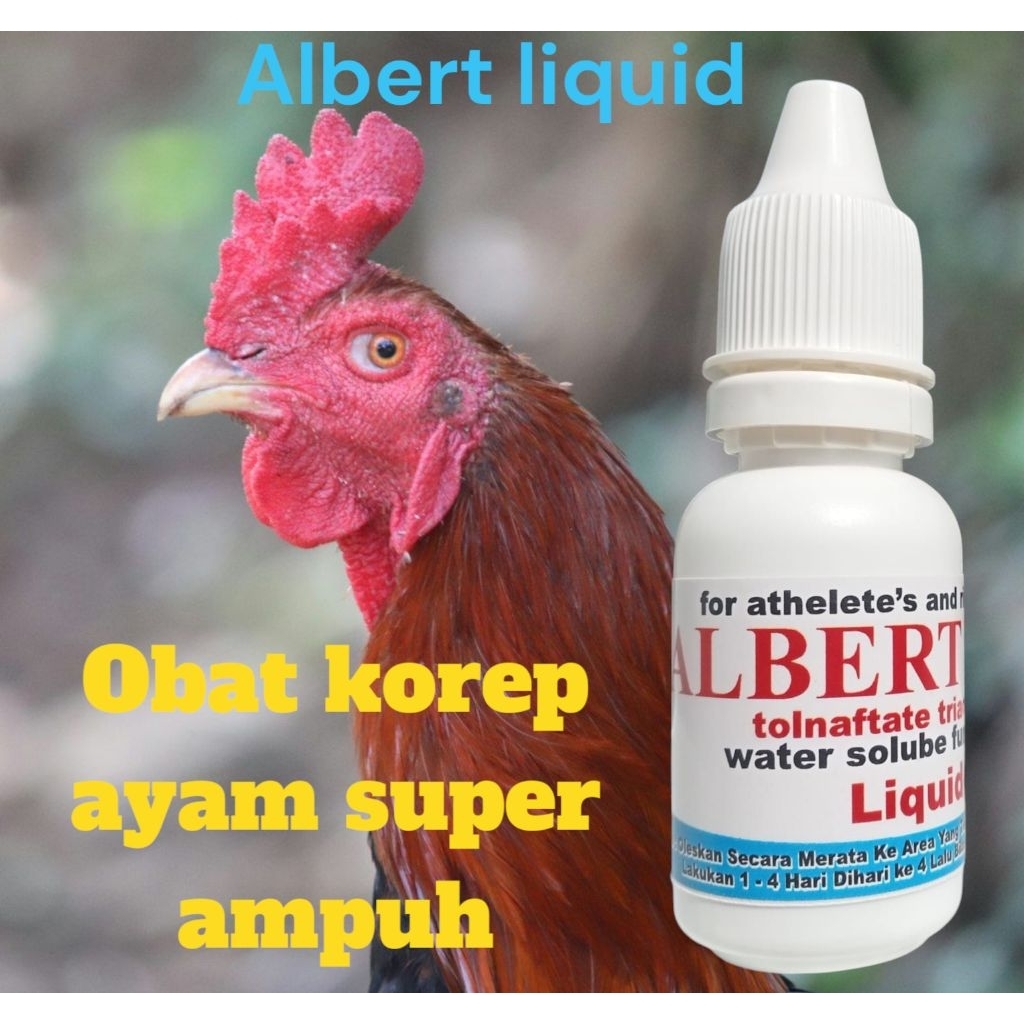 ALBERT Liquid obat korep ayam super ampuh