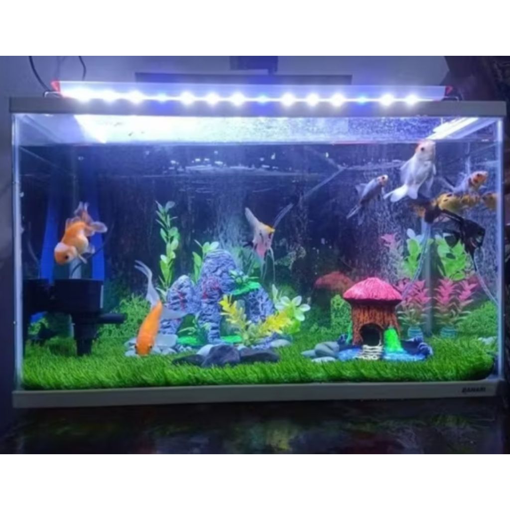 Aquarium kecil