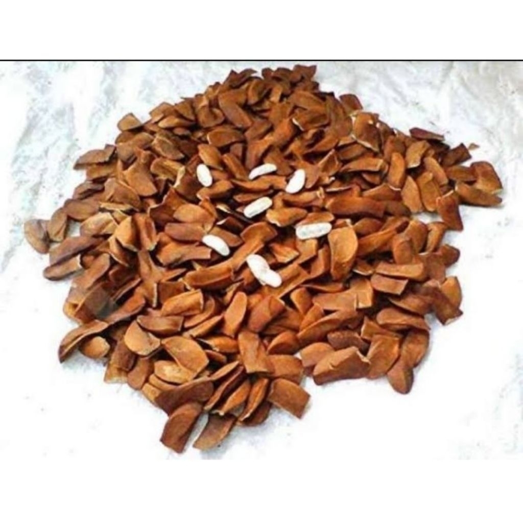 

biji mahoni obat herbal 500gram