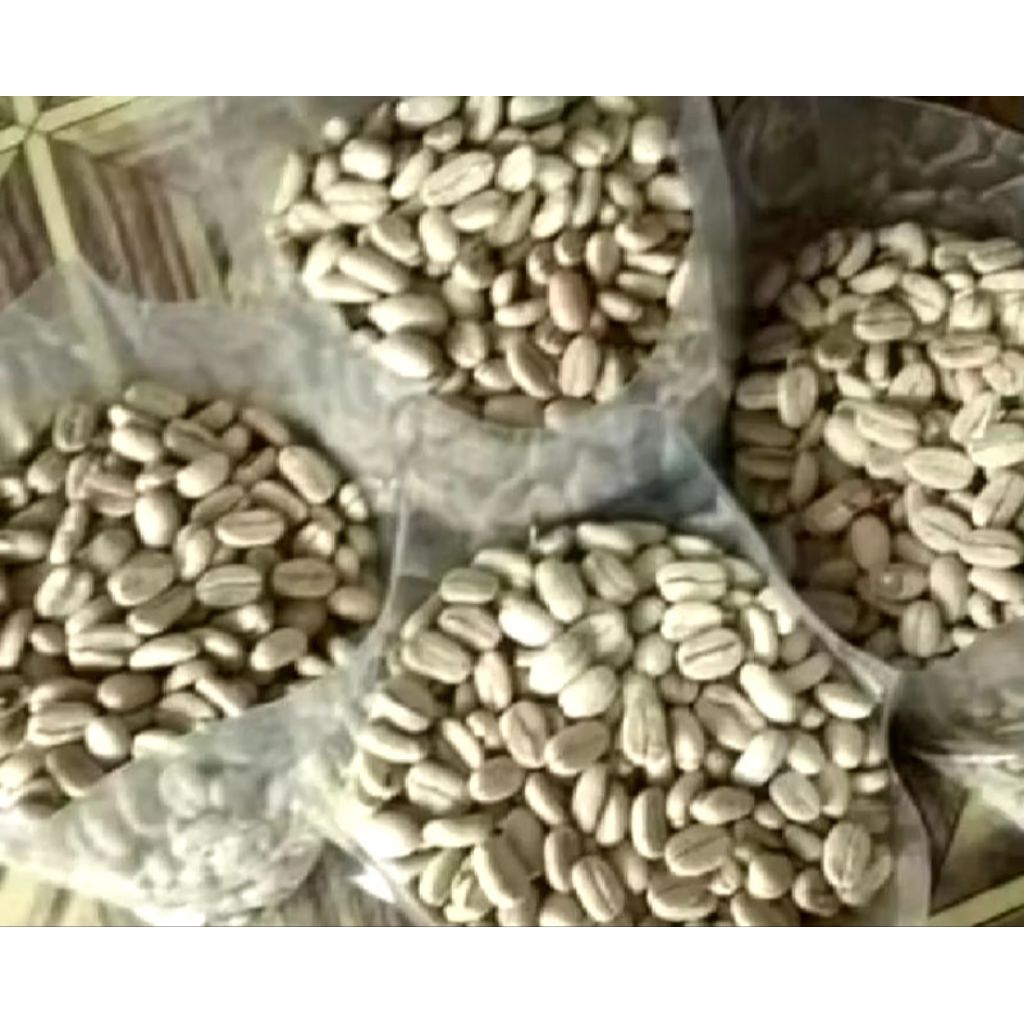 

Kopi robusta tanggamus lampung kering