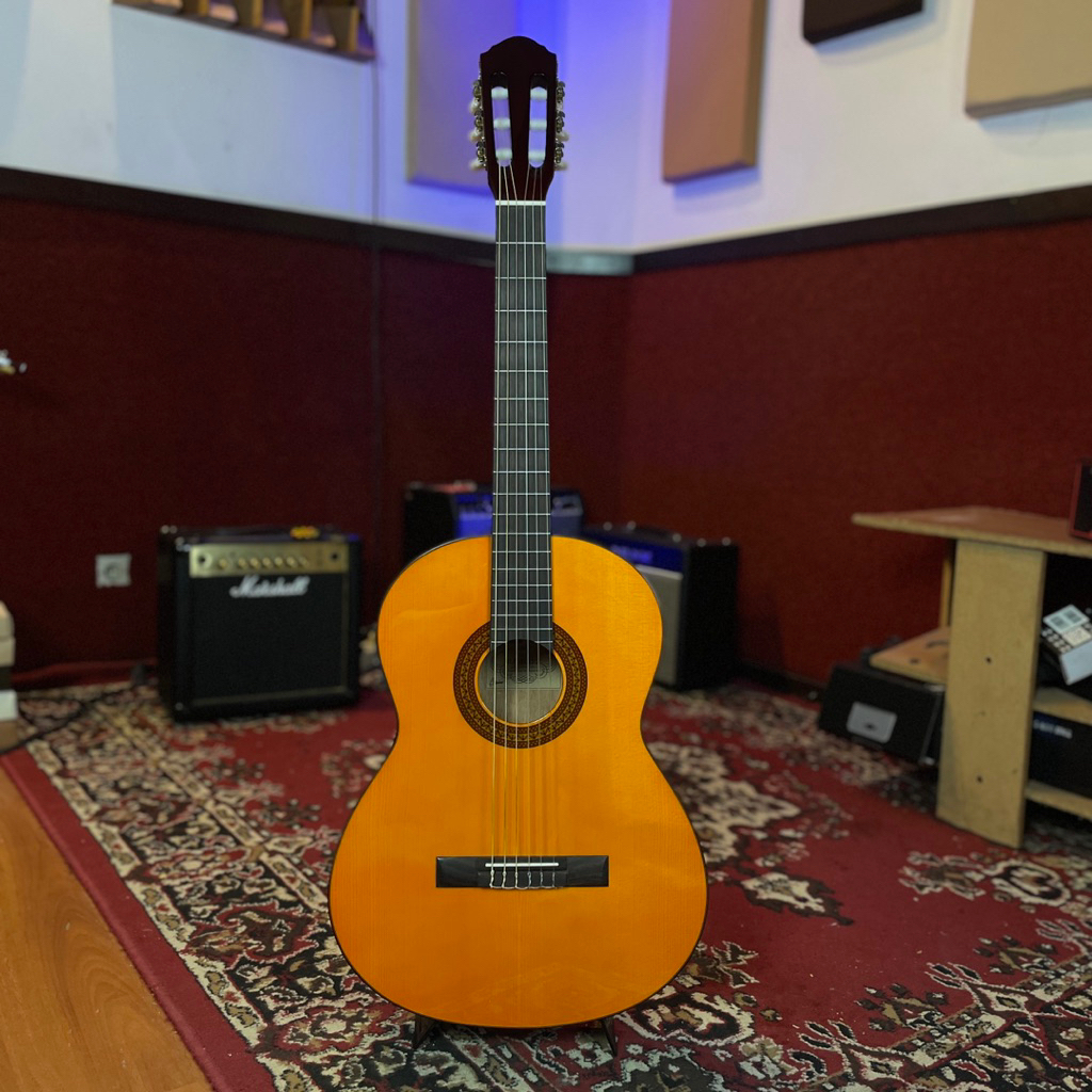 GITAR KLASIK RAMIREZ RSG200E GA