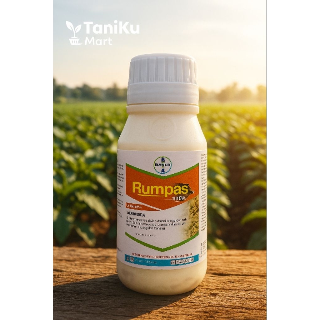 HERBISIDA RUMPAS 110 EW 100ml & 250ml | RACUN SELEKTIF UNTUK PENGENDALI GULMA PADA TANAMAN CABAI, KA