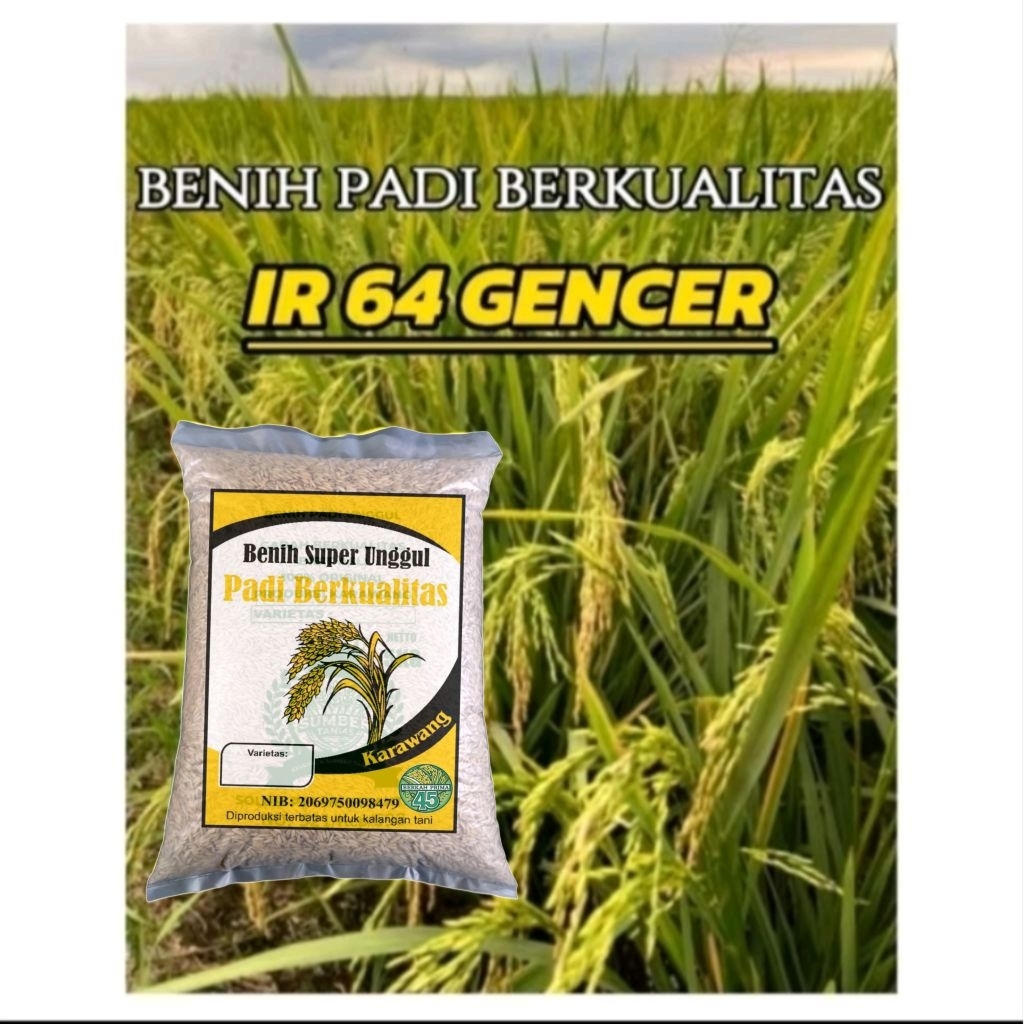 benih padi IR 64 GENCER super berkualitas.1kg