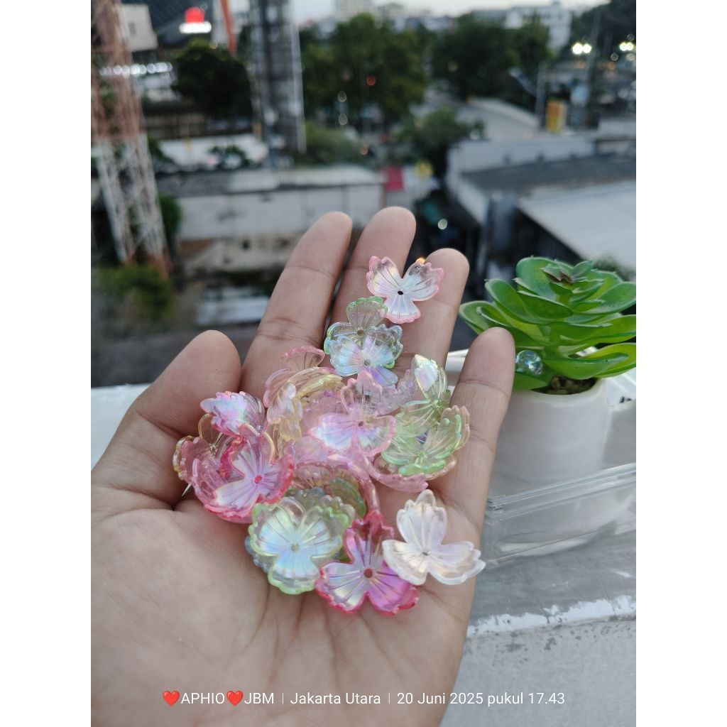 

20gr kelopak 3 bening