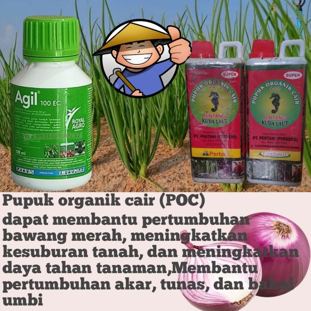 BISA COD HERBISIDA AGIL 100EC 100ML DAN PUPUK POC 500ML UNTUK TANAMAN BAWANG MERAH
