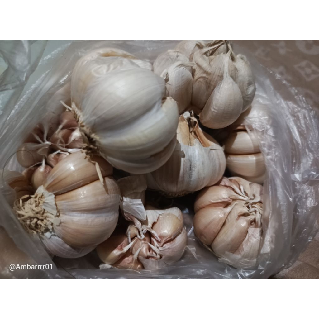 

bawang putih sinco 1000gr