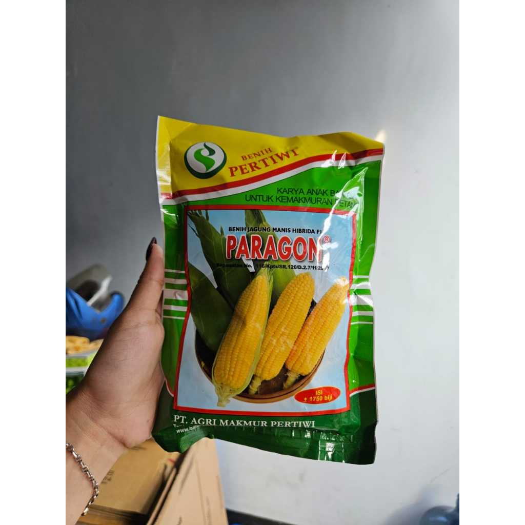 Benih Jagung Manis Paragon dari Pertiwi / Benih Jagung Manis Paragon 250gr