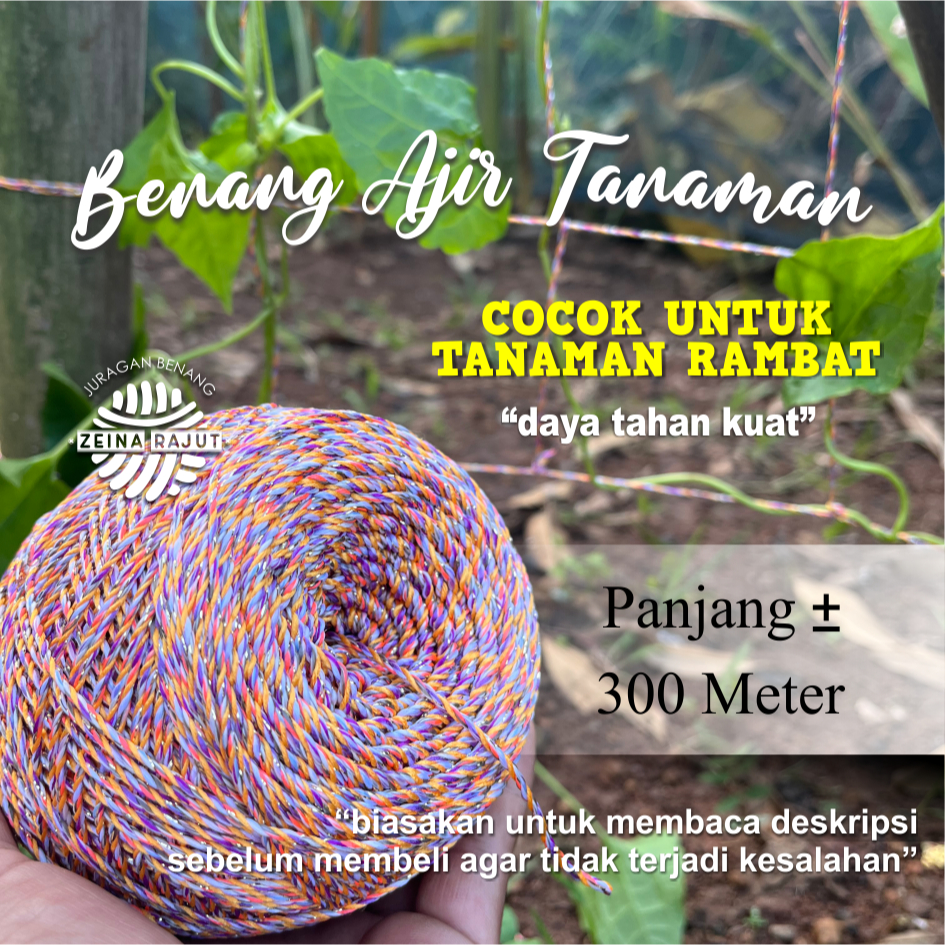 BENANG AJIR TANAMAN RAMBAT