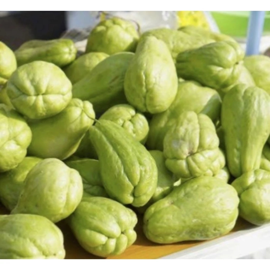 

Labu Siam KECIL KUPAS KULIT Small Choko Chayote 250 gr