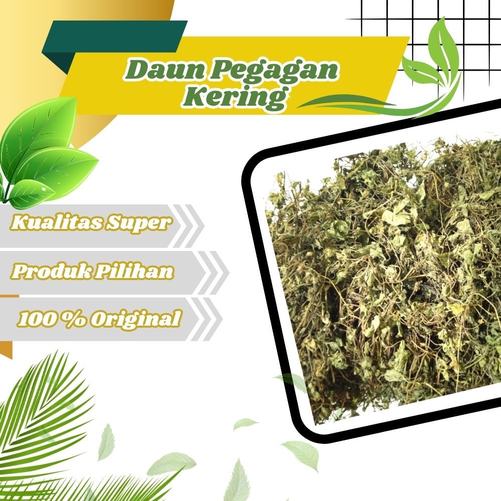 

Jamu Herbal Tradisional Daun Pegagan membantu kesehatan tubuh alami