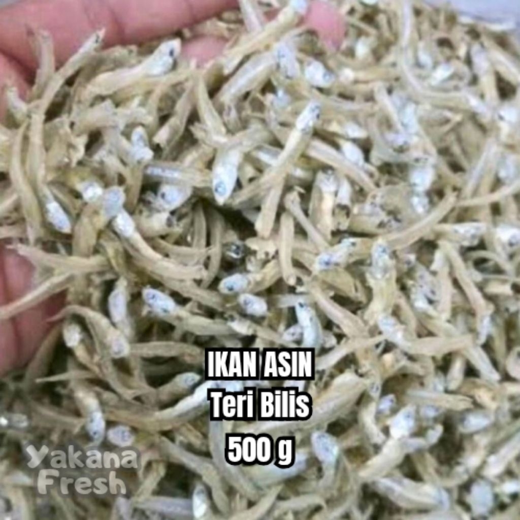 

Ikan Teri Bilis