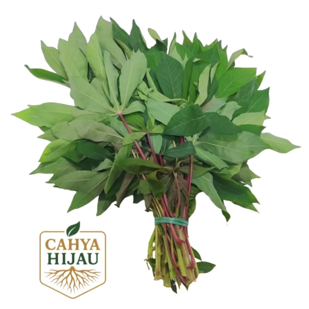 

Daun Singkong muda Sayur Segar Fresh