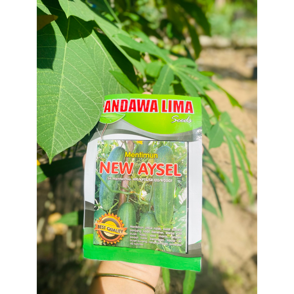 

NEW AYSEL (MENTIMUN)