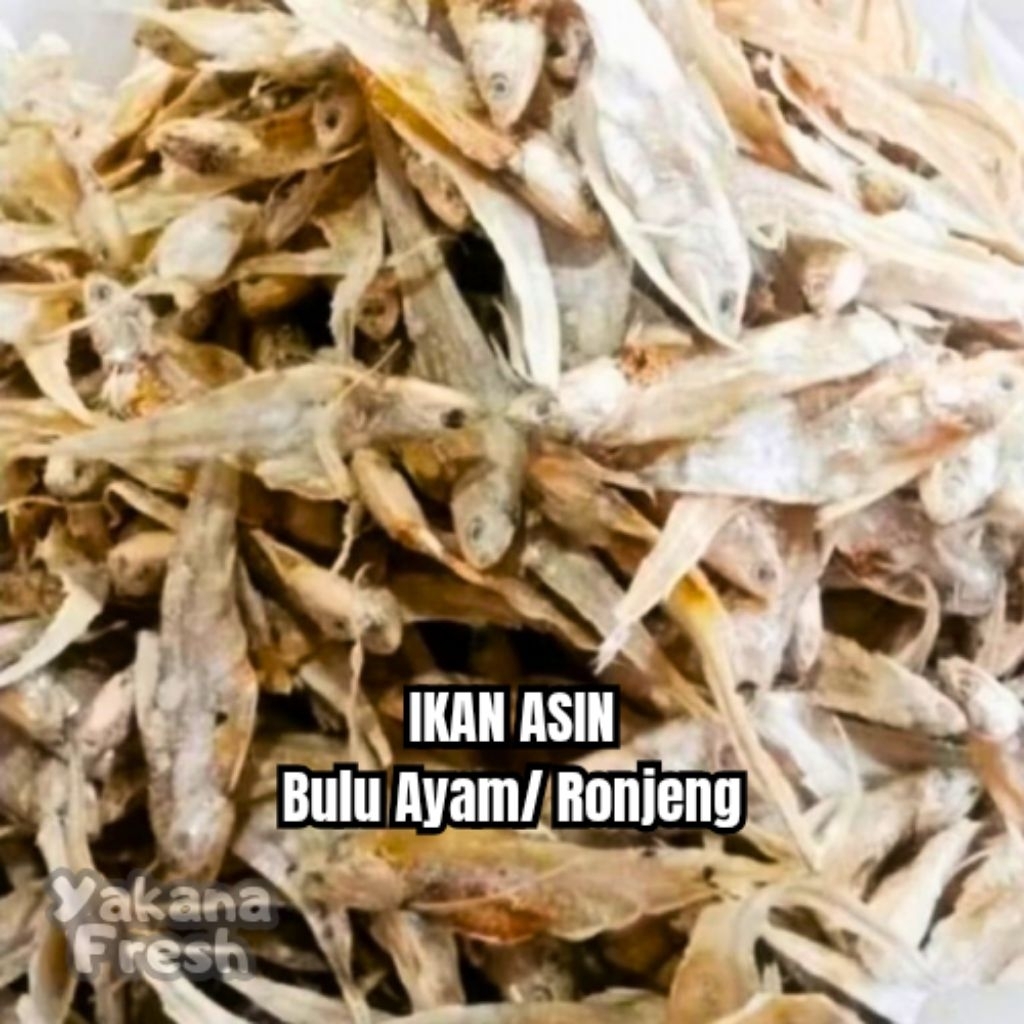 

Ikan Asin Bulu Ayam Ronjeng