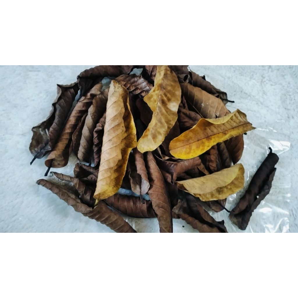 

Daun jambu kering 500gram