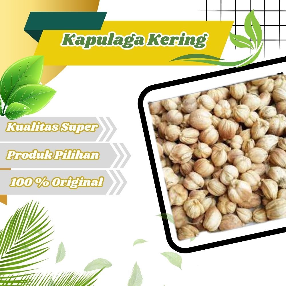 

Jamu Herbal Tradisional rempah bumbu Kapulaga kapol premium tanpa pewarna untuk kesehatan tubuh