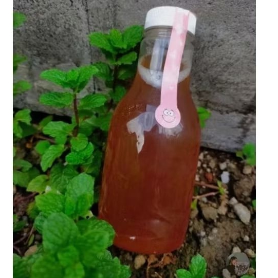 

Kombucha Blacktea