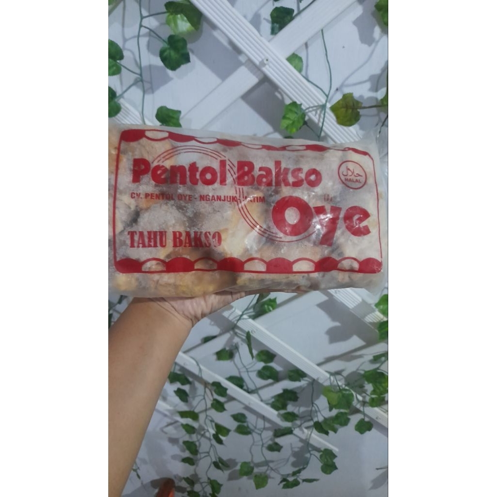 

Tahu Bakso Pentol Bakso Oye isi 25
