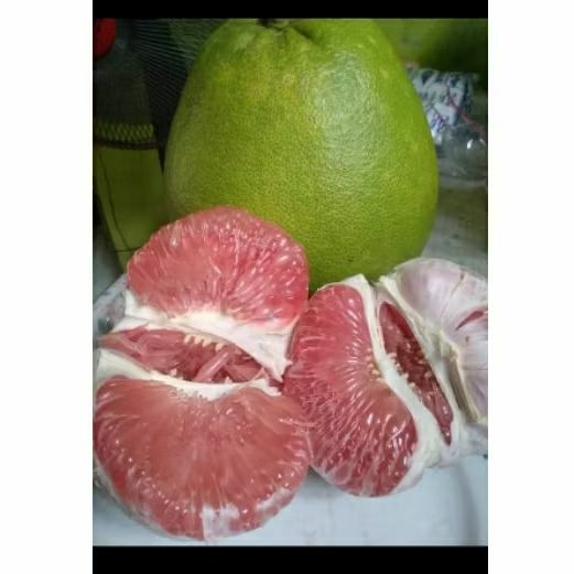 

combo 1kg isi 3 lebih hemat
