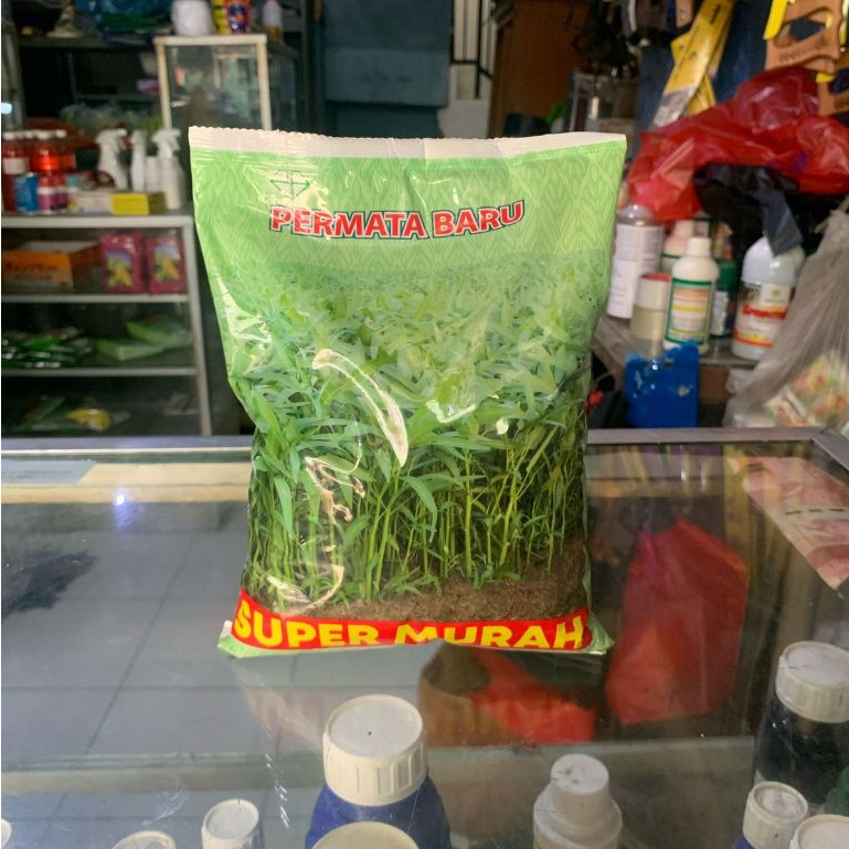 

Benih Kangkung Super Murah Kemasan Pabrik 1Kg 500Gram